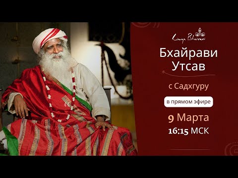 Видео: Йога-собаки здесь, чтобы вдохновлять людей повсюду, чтобы обмануть