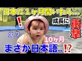初めての日本で刺激を受けた娘の成長に驚愕|国際結婚|