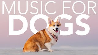 DOG MUSIC How to Chill Your Pooch with Relaxing ASMR Music