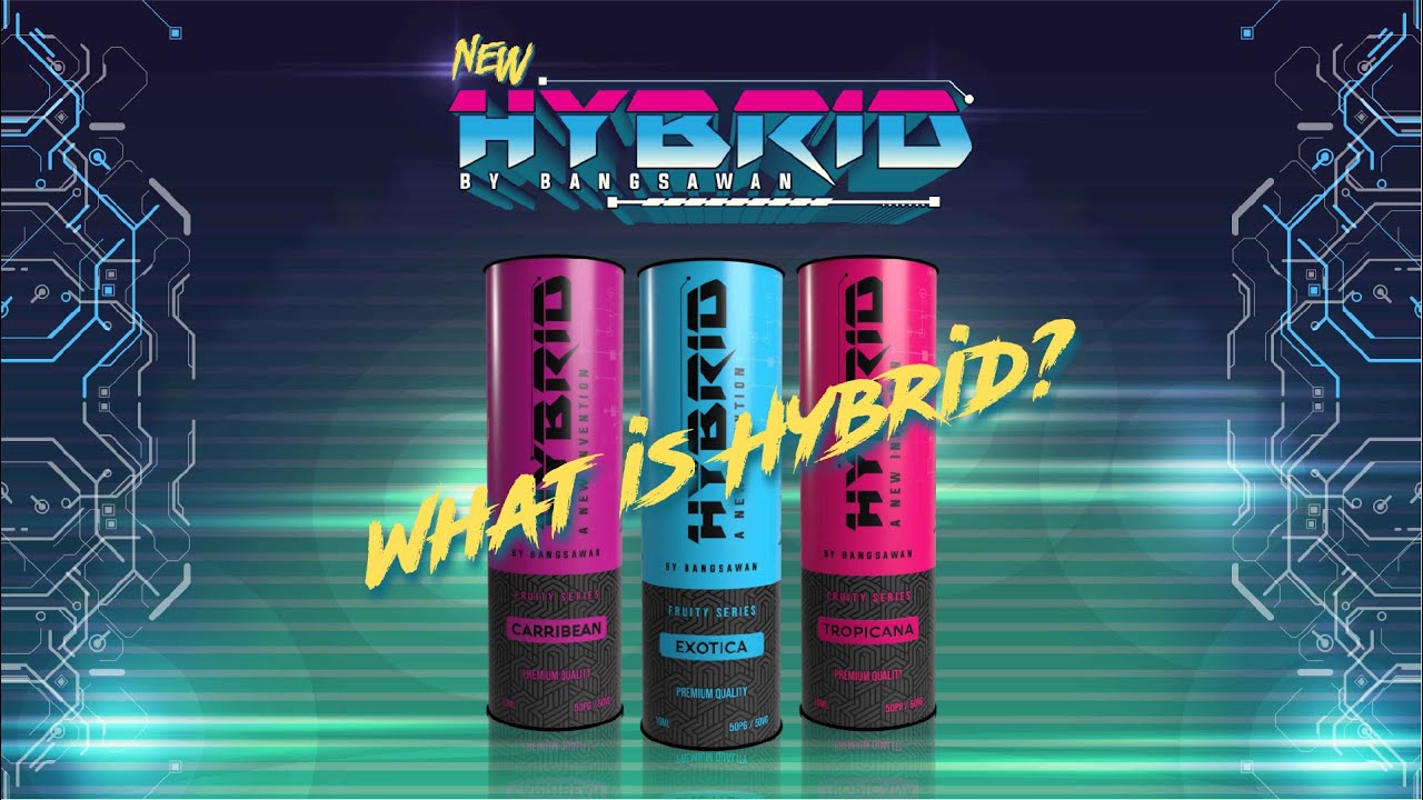 What Is Hybrid YouTube