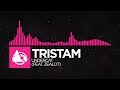 [Drumstep] - Tristam - Undercat (feat. Zealot)