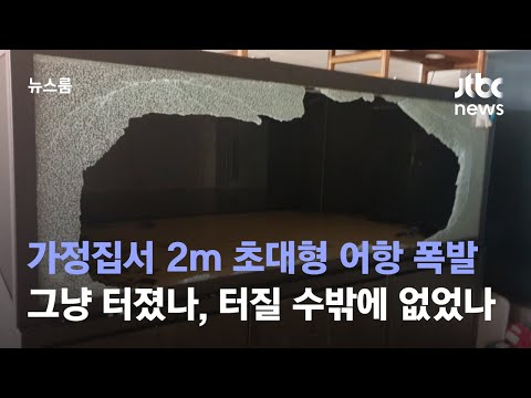 [단독] 2m 초대형 어항 '펑'…그냥 터졌나, 터질 수밖에 없었나 / JTBC 뉴스룸