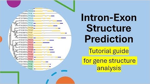 How to do Gene Structure Analysis | Intron-Exon Structure Analysis using GSDS