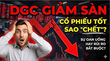 DGC Giảm Sàn: Cổ Phiếu Tốt Sao Vẫn "Chết"? - Sự Oan Uổng Hay Rủi Ro Bắt Buộc?