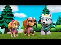 PAW Patrol Pup Pup Boogie Sleepover WildBrain Toons Cartoons For Kids PAW Patrol Pup Pup Boogie Sleepover WildBrain Toons Cartoons For Kids