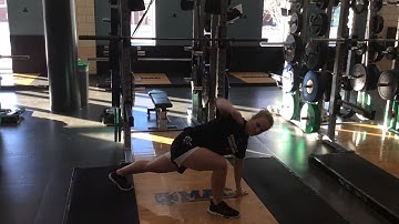 Forward Lunge - Elbow to Instep w/ Rotation + Hamstring Stretch