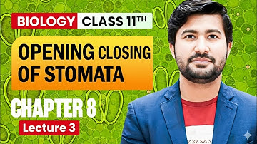 Opening and Closing of Stomata | Class 11 Biology (Chapter 8) | Detailed Explanation