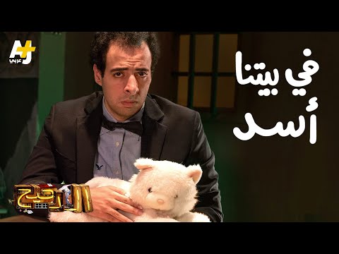 الدحيح في بيتنا أسد