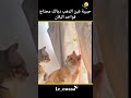 حبيبة فين دهب ديالك محتاج واحد البلان كوميديات اكسبلور ضحك Funny Funnyvideos حبيبة فين دهب ديالك محتاج واحد البلان كوميديات اكسبلور ضحك Funny Funnyvideos