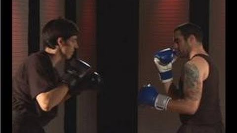 Kung Fu : Pressing Block & Reverse Punch