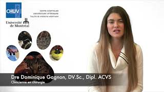 Portrait Dre Dominique Gagnon, Clinicienne Chuv Et Fmv