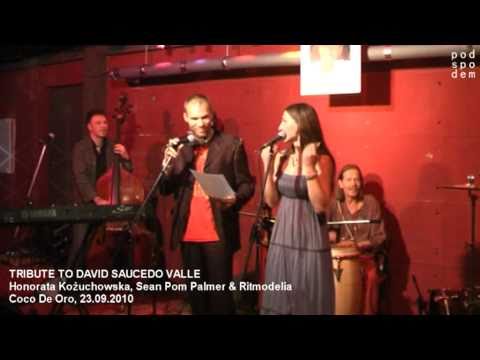 TRIBUTE TO DAVID SAUCEDO VALLE - Kouchowska, Palmer & Ritmodelia