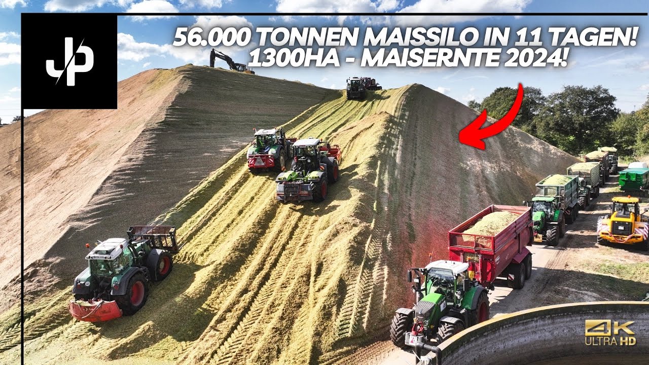 Mais 2024! 🌽 1300HA auf einem Silo! || JP Agrar