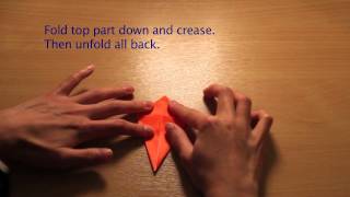How To Make: Origami Crane (おりがみ つる)