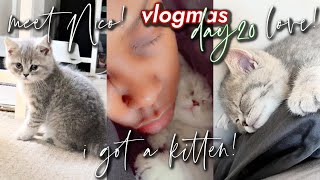 Vlogmas Day 20! IM A CAT MOM! 😆 I got a Scottish Fold Kitten! 😍 meet Nico! | Janielle Wright Vlogs