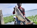 വേമ്പനാട് കായലിലെ മീൻപിടുത്തം part 1 (Vembanad lake fishing Part 1)