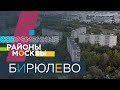 Западное и Восточное Бирюлёво: фруктовый парк, культурный центр «Дружба» и спортшкола «Пингвины»