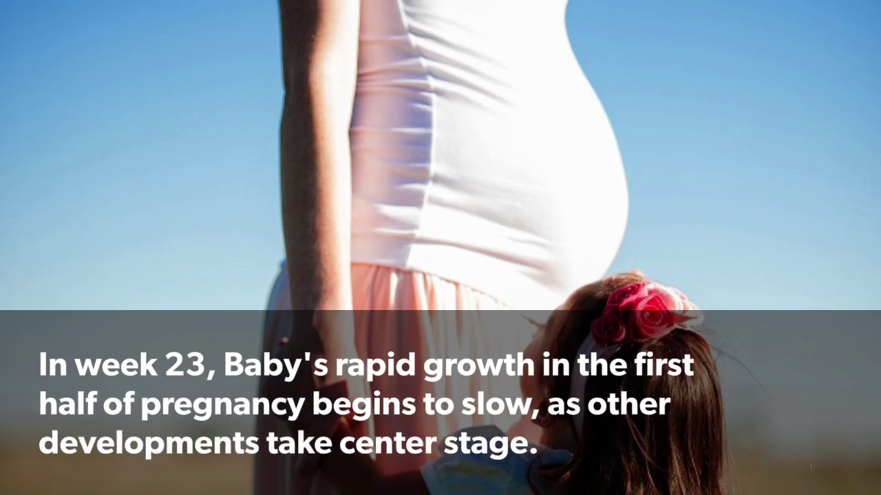 What Day Is December 23rd What Day Is December 23rd