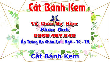 Cắt Bánh Kem. Nhạc Làm Lễ Cưới Theo Phong Cách Hiện Đại { Nhạc Sống Ban Nhạc Phúc Anh }