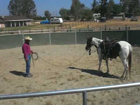 Dan Bruce Breaking Rosie to Ride, Part 6, May 25, ...