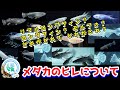 メダカのヒレ！色々な鰭の表現・リアルロングフィン・松井ヒレ長・モルフォ・ロングフィンの違いについて【媛めだか】