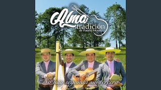 Video thumbnail of "Grupo Alma & Tradicion - Bellos Luceros"