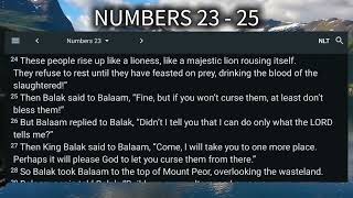 Numbers 23 - 25 New Living Translation | Audio Bible