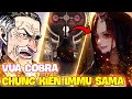 VUA COBRA ĐÃ CHỨNG KIẾN IMMU SAMA?! | THÔNG TIN THÊM SPOILER 1084