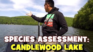 Species Assessment: CANDLEWOOD LAKE! What SWIMS in it?!