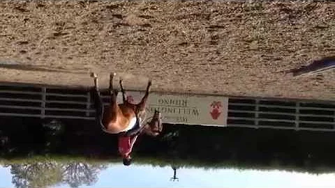 Cindy Rawson Flatwork Clinic