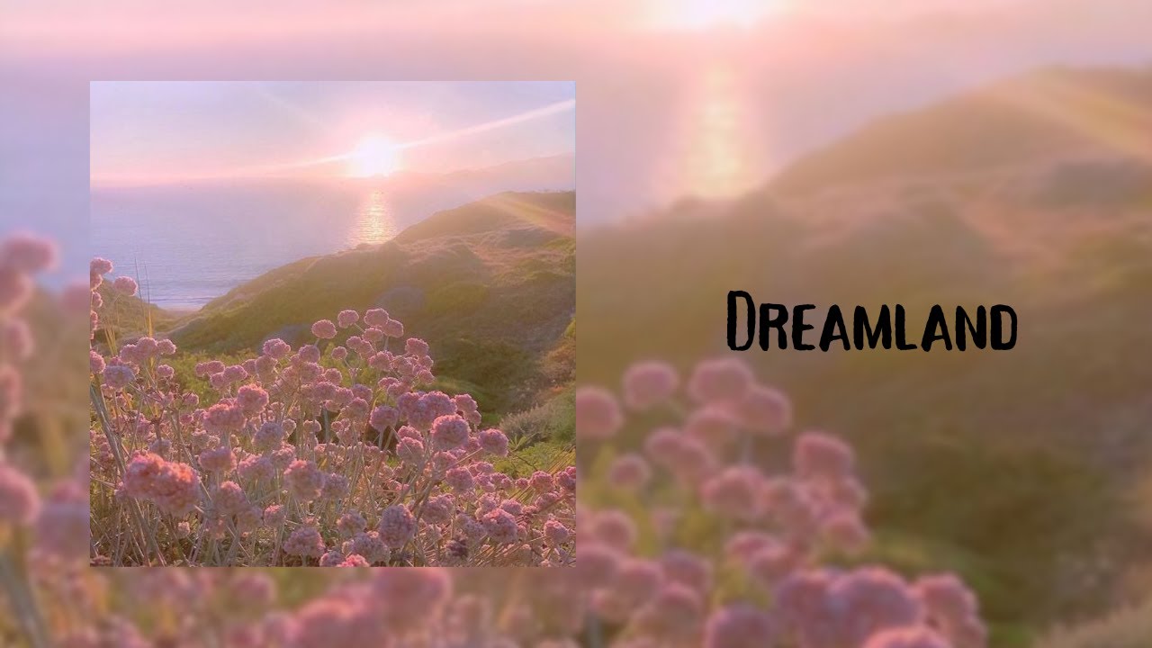 𝙶𝚕𝚊𝚜𝚜 𝚊𝚗𝚒𝚖𝚊𝚕𝚜 𝚙𝚕𝚊𝚢𝚕𝚒𝚜𝚝 //𝚜𝚙𝚎𝚍 𝚞𝚙// YouTube
