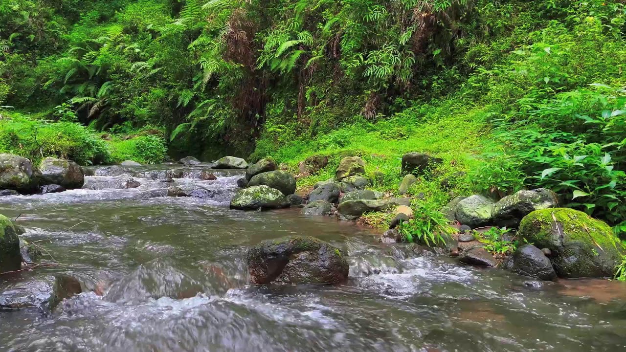 Shallow River Flow – Soothing Nature Sounds for Meditation
