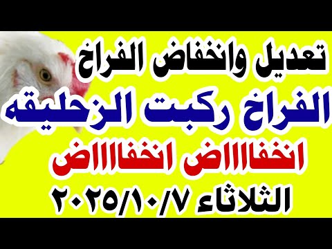 اسعار الفراخ اليوم سعر الفراخ البيضاء اليوم الثلاثاء 2025 10 7 في مصر جمله وقطاعي