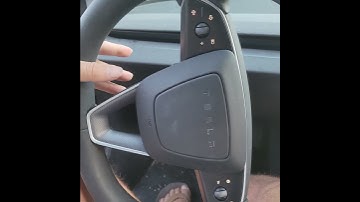 No turn signals on NEW 2024 Tesla 3?