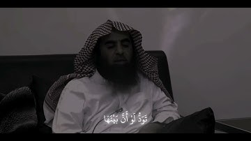 سورة ال عمران القارئ #محمد_اللحيدان #قرآن #أجر_لي_ولكم #اكسبلور