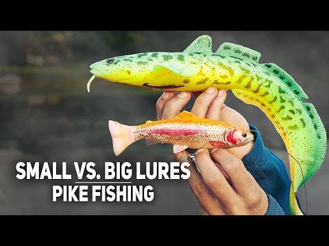 Small vs. Big Lures - Pike Fishing In The Summer Period (English