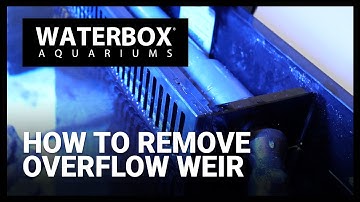 How To Remove Overflow Weir