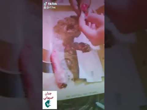 محششه يمنيه صاروخ مايرحمش