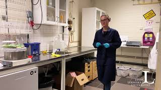 One Minute About Gender Equality - Ana Carolina Feltrin