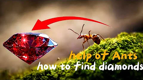 Ants and Termites: Nature's Secret Diamond Hunters!