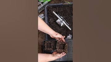 How To Keep Soil Blocks Together