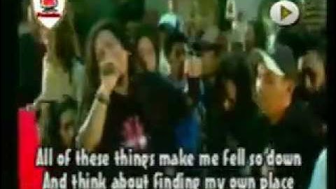 WELLCOME TO MY PARADISE - STEVE   THE COCONUT TREEZ.flv