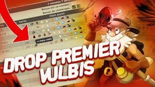Mon Premier Drop Vulbis Sur Dofus Retro