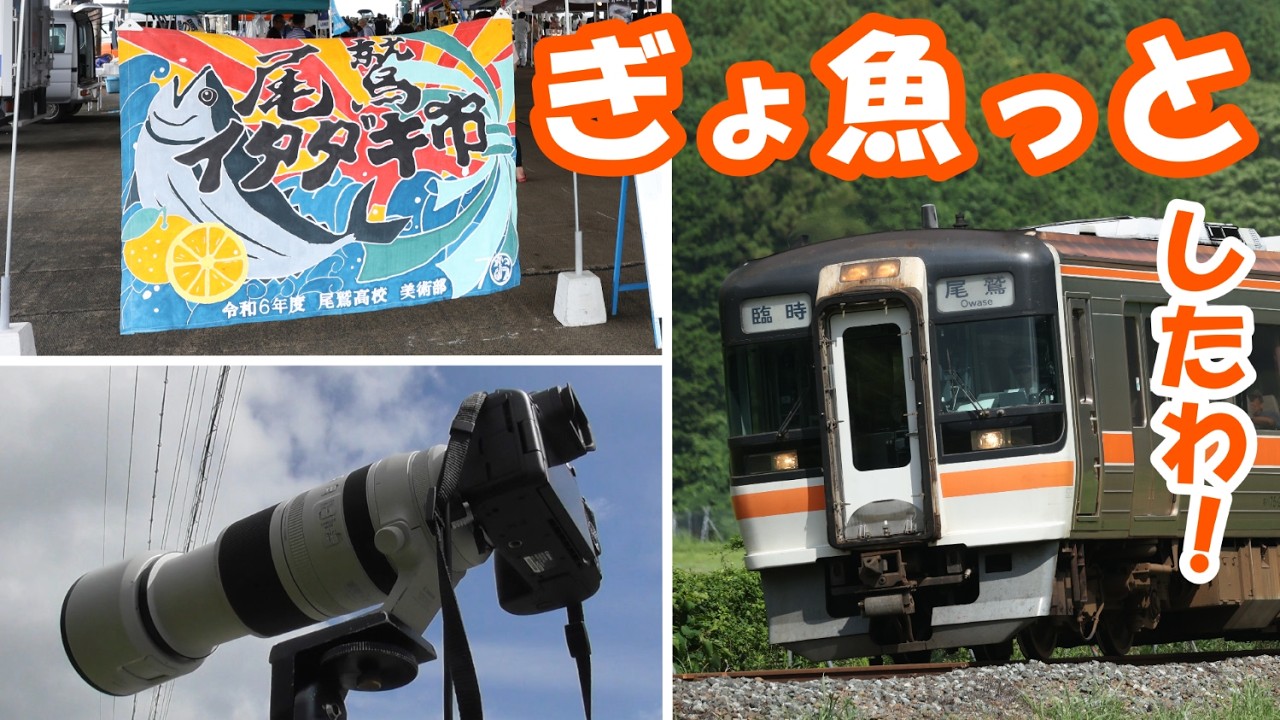 Kisei Main Line] Photographing the express train 