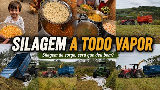 VLOG EM TEMPO REAL / SILAGEM DO SORGO / CAFÉ DA MANHÃ / ALMOÇO / MOSTREI TUDO PARA VOCÊS 