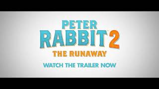 Peter Rabbit 2 The Runaway Kaçak Tavşan Full Hd