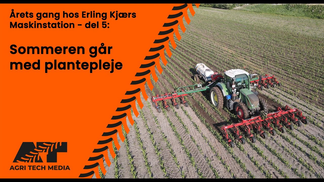 🇩🇰 Årets gang hos Erling Kjærs - del 5: Sommeren går med plantepleje