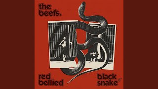 Video thumbnail of "The Beefs - Red Bellied Black Snake"