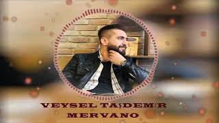 VEYSEL TAŞDEMİR  KÜRTÇE ŞARKI ( YENİ 2019)#İSTANBUL# Resimi