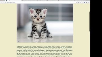 Blog Post Site using Node, Express, and MongoDB